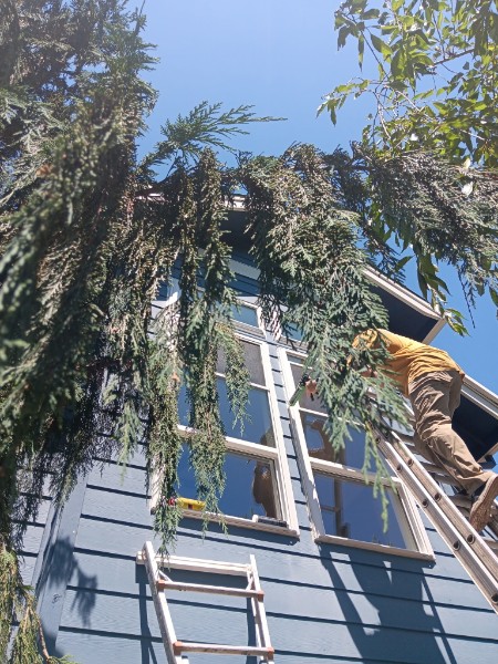 Installer on a ladder setting a window on a dark blue house