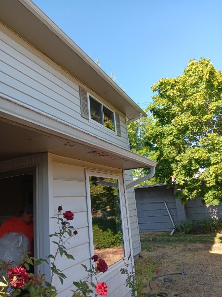 Cream-sided house with new windows, roses, and a crew member at the door
