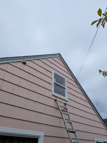 Ladder up to a new gable window on a pink shake house